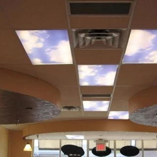 FC017 - Custom Ceiling Graphic for Interior Design
